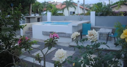 Insight Studio at Csompo Silver Manor