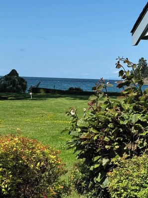 Property grounds - Coastal Elements - 1BDRM - Full Kitchen (Nanoose Bay)