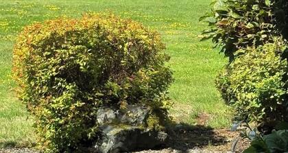 Coastal Elements - 1BDRM - Full Kitchen