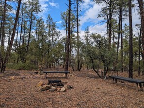 Property grounds - HIDDEN SPACIOUS 4-bdr RETREAT FOR FAMILIES AND FRIENDS!  (Show Low)