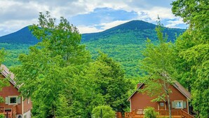 A cabin with a wooden exterior, surrounded by lush green trees and a mountain in the background.