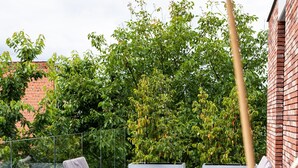 Een terras buiten met rieten meubilair en een betegelde vloer.
