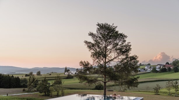 Une piscine à débordement moderne, avec un arbre au premier plan et une vue sur un paysage rural en arrière-plan.