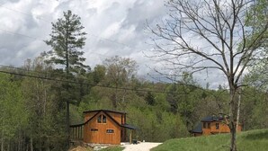 A cabin with a dirt path leading to it, surrounded by trees and a cloudy sky.