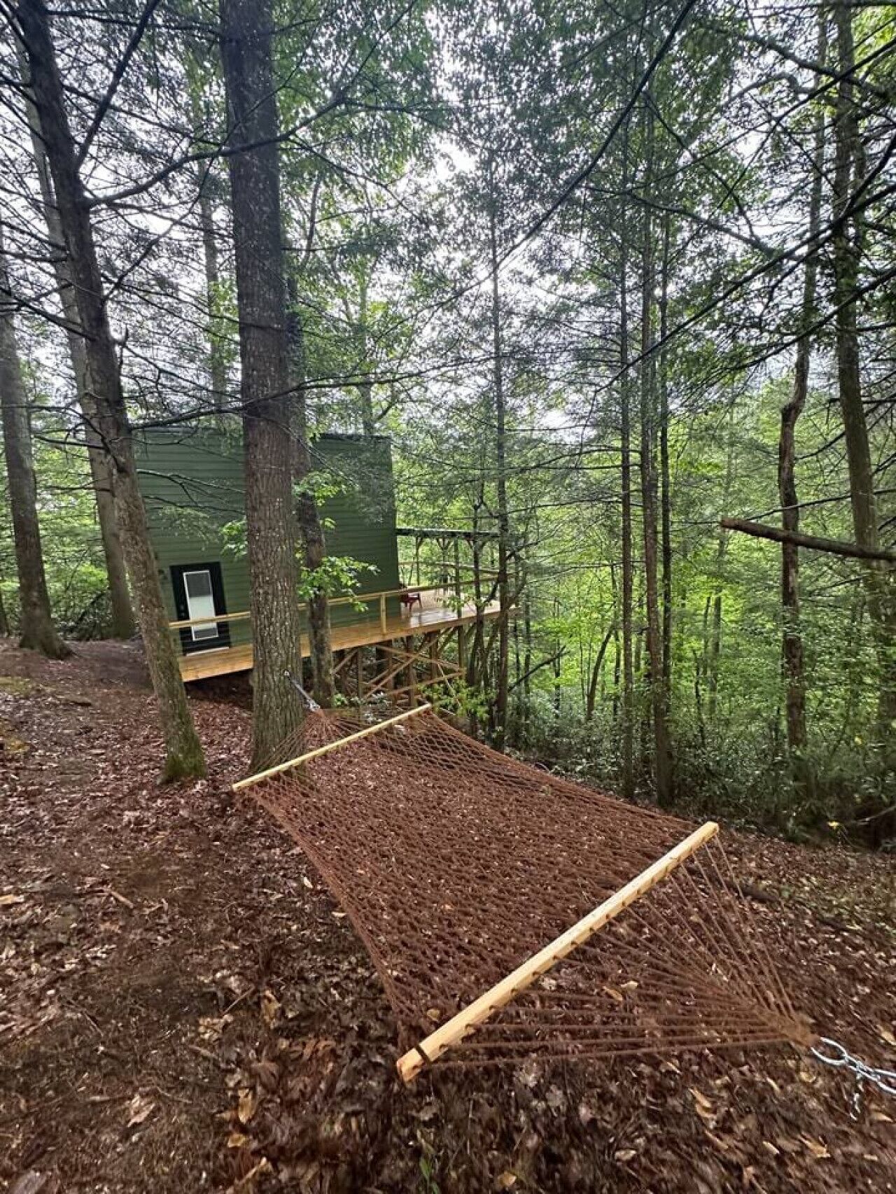 Eine rustikale Holzhütte im Wald mit einer Hängematte und einer Veranda.