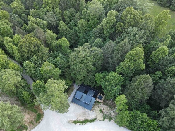 Vista aérea de una casa rodeada de un bosque frondoso.