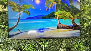 A framed tropical beach scene with palm trees and a clear sky.