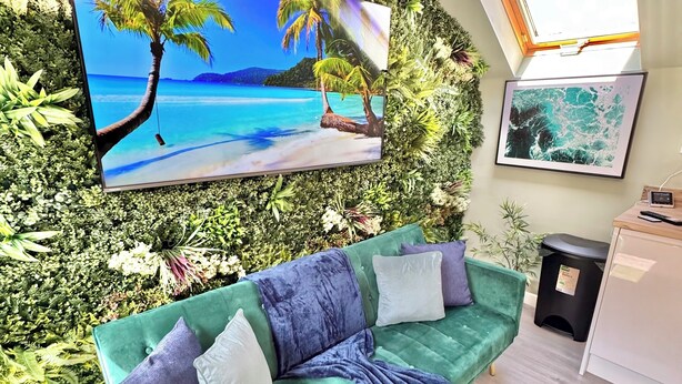 A living room with a green sofa, a flat-screen TV, a wall-mounted plant, and a window with a view of the sea.