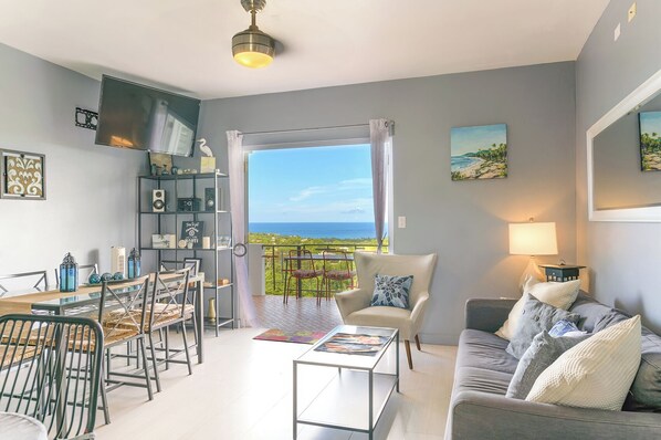 Smart TV, DVD player, books, stereo - Mountain Top Hideaway, Pool & Stunning views (Vieques)