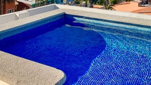 A swimming pool with a clear view of the ocean and palm trees in the background.