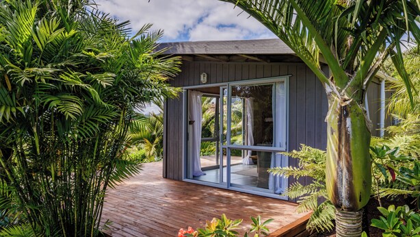 Eine Holzterrasse führt zu einem modernen Haus mit Glastüren, umgeben von üppiger tropischer Vegetation.