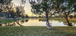 Property grounds - Cozy , Pet Friendly 2 Bedroom / 1 Bathroom, Just 5 minutes from the Beach! (Seminole)