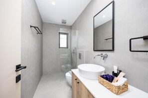 Shower, hair dryer, towels