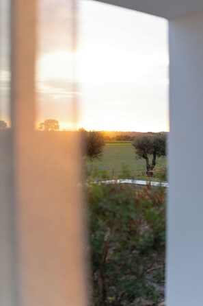 A view through a window with a fence and a tree in the foreground. - Alapega Live Slow (Alcacer do Sal)