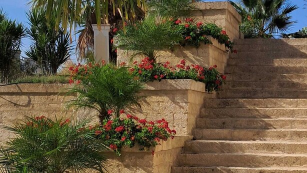 A stone staircase with red flowers and green plants. - Villa Brikinnia (Lentini)