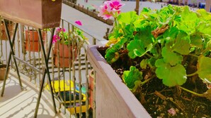 Un balcón con plantas en macetas y vista a un paisaje urbano.