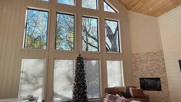 TV, fireplace, table football