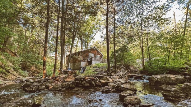 A rustic cabin surrounded by a forest with a stream in the foreground.