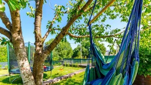Un hamac est suspendu à un arbre dans un jardin, avec un trampoline et un mur de briques en arrière-plan.