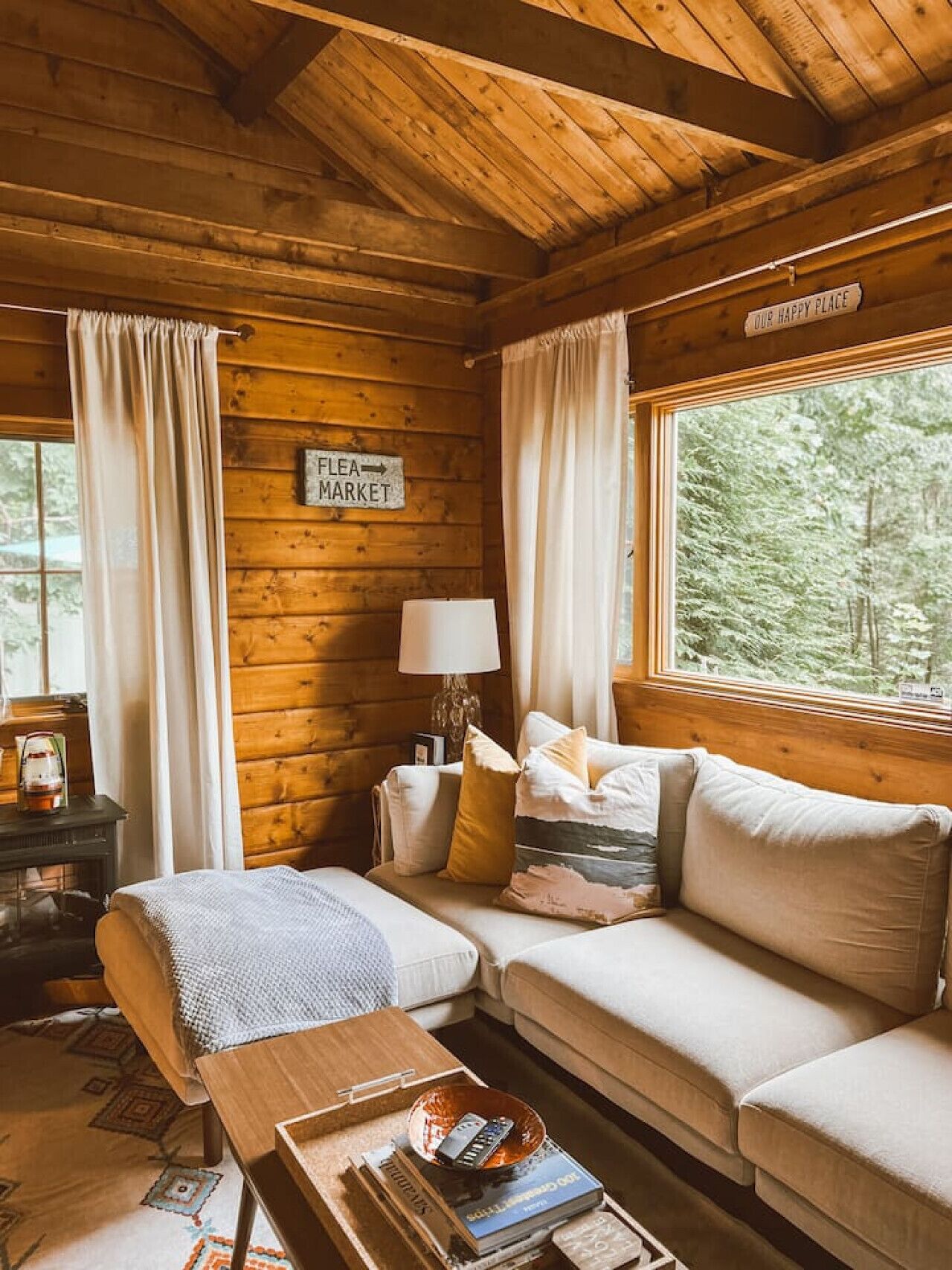 TV, fireplace, books