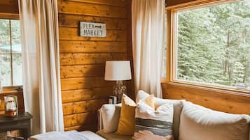 TV, fireplace, books