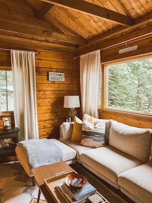 TV, fireplace, books - The Little Lake Cabin with hot tub (New Fairfield)