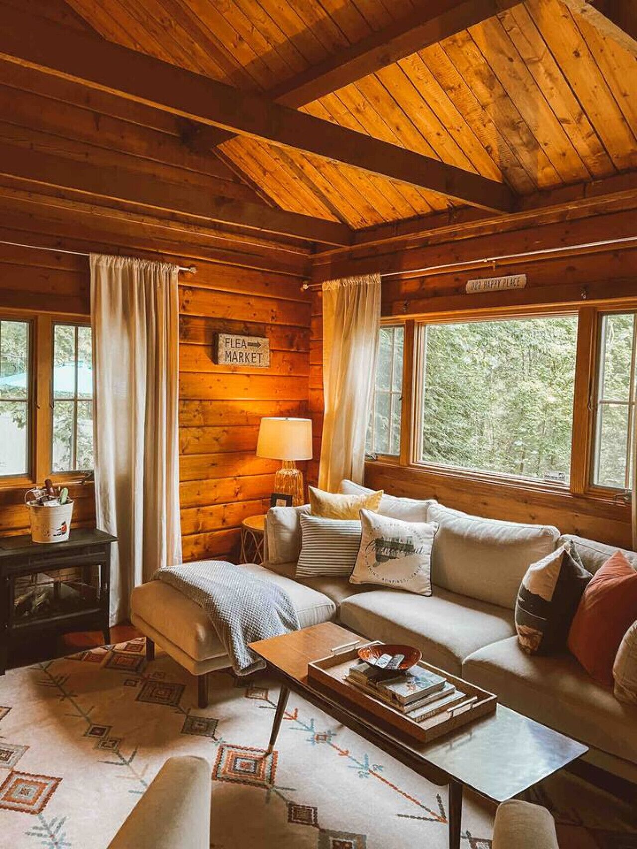 TV, fireplace, books