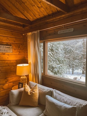 TV, fireplace, books