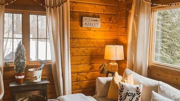 TV, fireplace, books