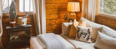 Télévision, cheminée, livres