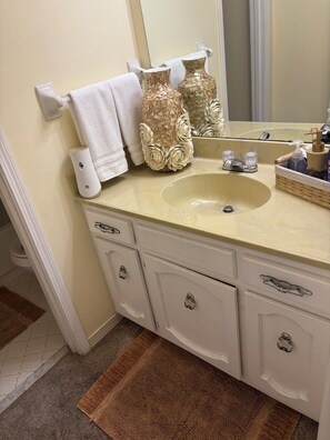 Hair dryer, towels, soap, shampoo