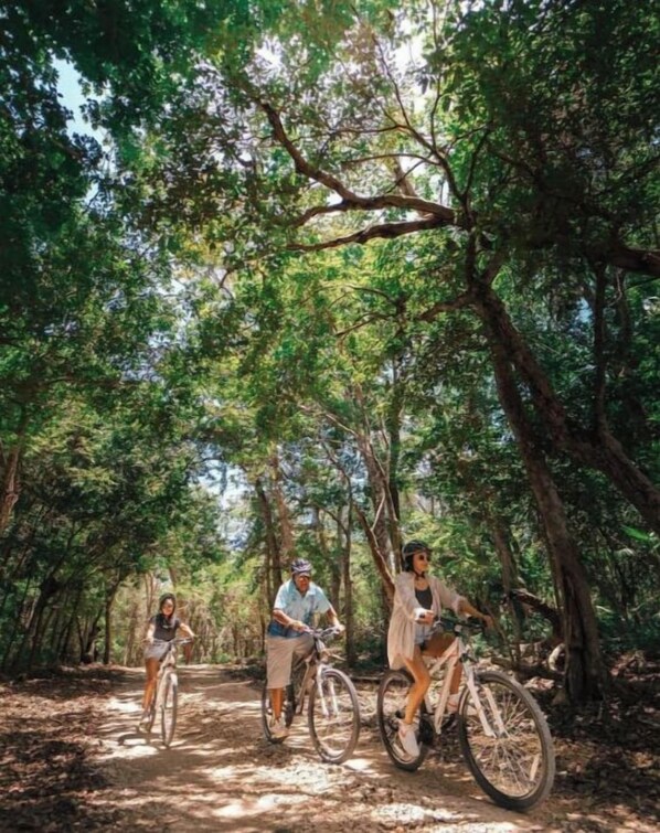 Miscellaneous - Loft Cabin2 Cenotes Park Dos OjOs  Pool, WIFI, AC

 (Tulum)