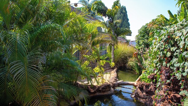A lush garden with a pond, dense foliage, and a building with a tiled roof.
