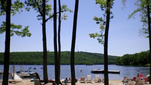 A beach with trees, a dock, and boats.