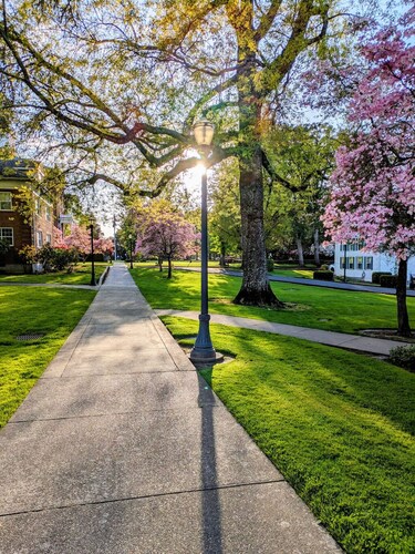 Updated 3-bedroom historic farmhouse, amazing kitchen, walk to Linfield in 5 min