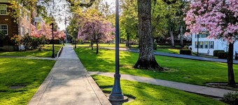 Updated 3-bedroom historic farmhouse, amazing kitchen, walk to Linfield in 5 min