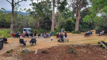 An outdoor gathering with people seated on chairs and camping gear, surrounded by trees and a dirt ground.