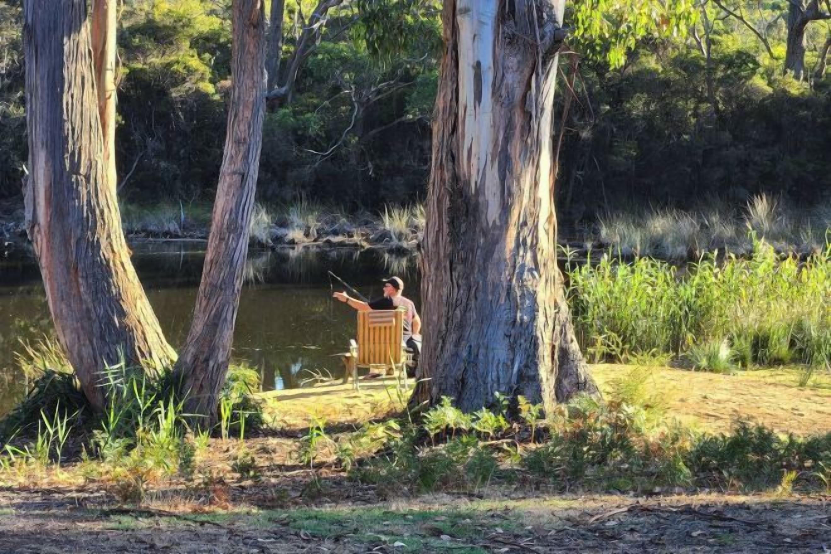 A person fishing by a calm river surrounded by tall trees.