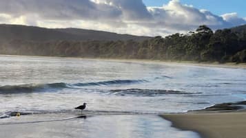 A beach with waves, a bird, and a forested hill in the background.
