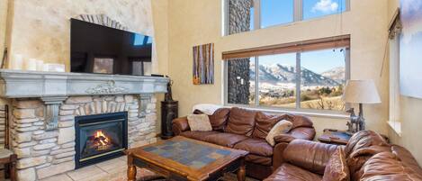 Smart TV, fireplace, video games, books