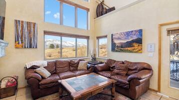 Smart TV, fireplace, video games, books