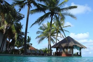 Una propiedad frente a la playa con piscina, palmeras y una estructura de techo de paja.