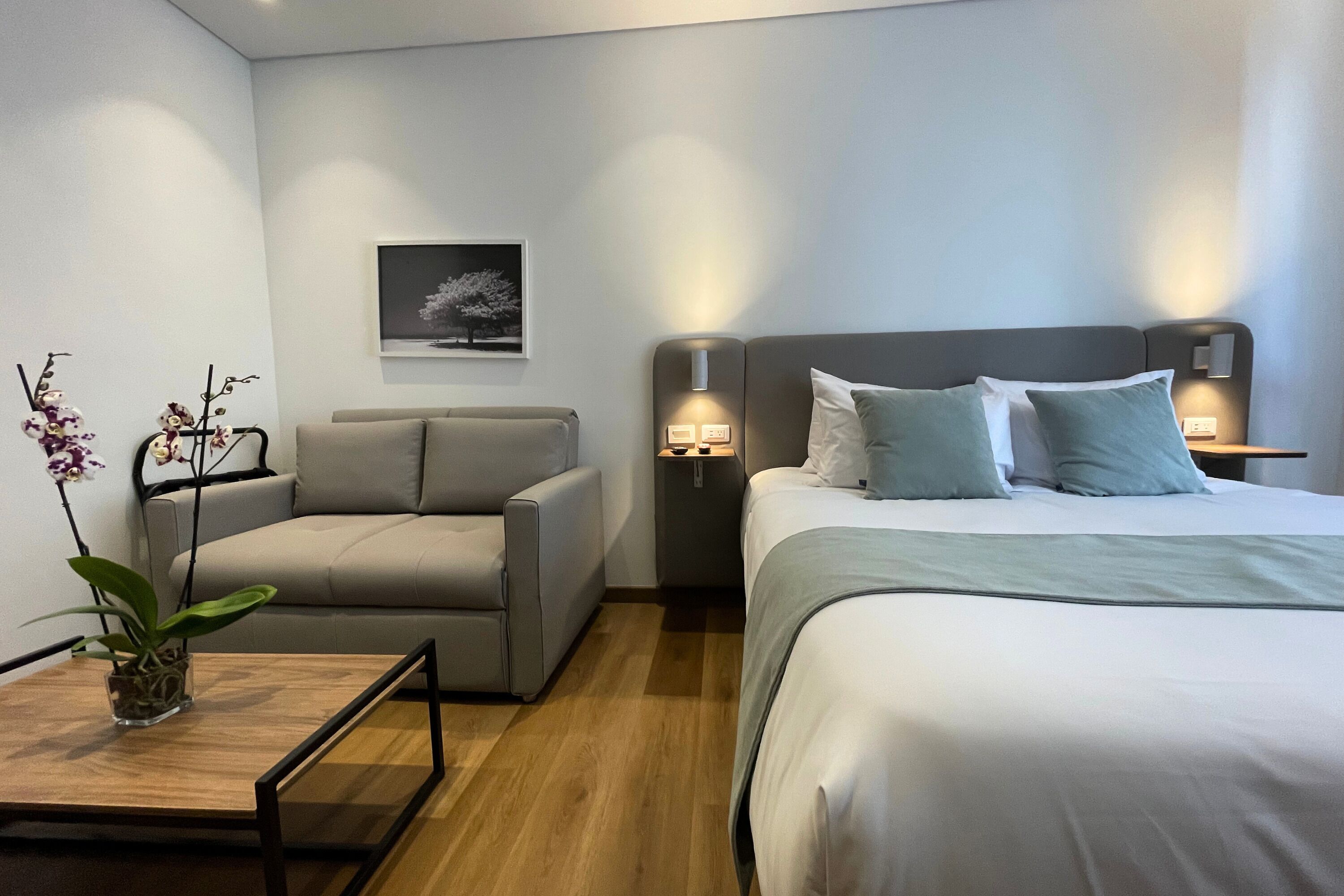 A modern hotel room with a bed, a sofa, a nightstand with a lamp, and a wall-mounted picture.