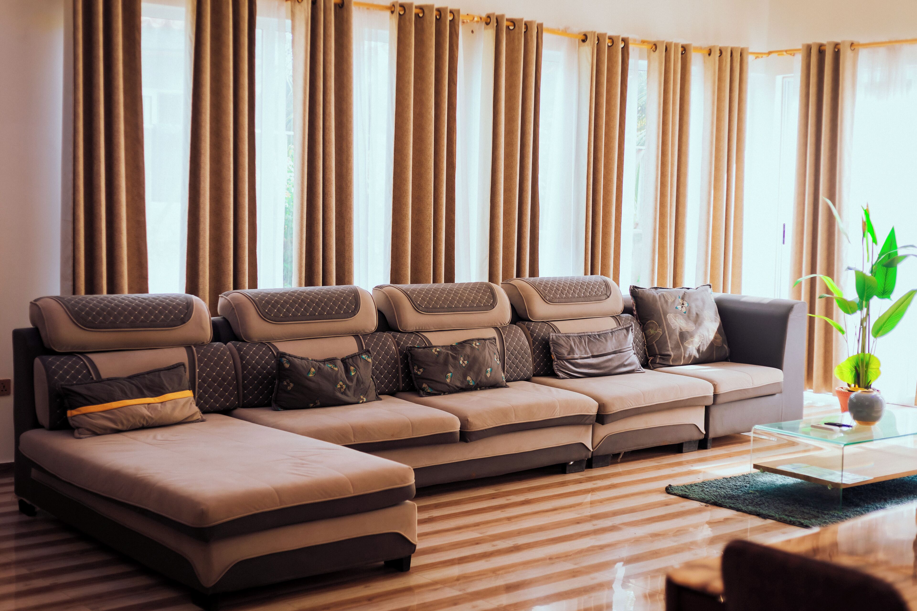 A modern living room with a sectional sofa, a glass coffee table, and a potted plant.