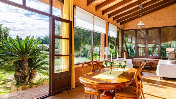 Un comedor con mesa y sillas de madera, una ventana con cortinas y vista a follaje exterior.