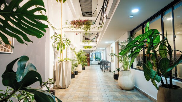 Un couloir agrémenté de plantes en pot, un escalier et un espace détente.