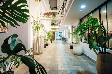 Terraço/pátio. Palermo Home Bogota & Art Gallery