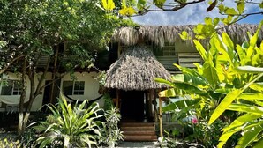 A thatched-roof hut with steps leading up to it, surrounded by lush greenery and a clear sky. - Kawabonga Hostel (Dibulla)