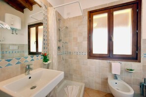 Shower, hair dryer, bidet, towels