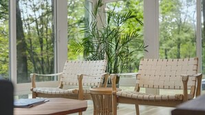 Two wicker chairs with woven backs and seats, a small round table, and a potted plant in a room with large windows and a view of greenery outside.